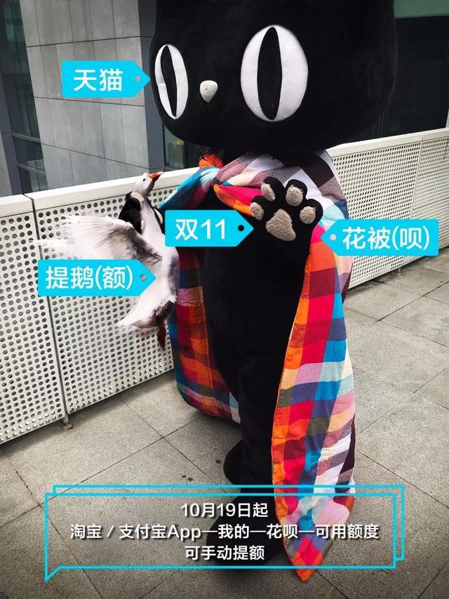 2017年天猫双十一购物狂欢节,支付宝的蚂蚁花呗和借呗会提额吗？