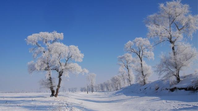 可不可以带我去吃雪:我是南方人，春节带父母去东北过年有合适的赏雪线路吗？