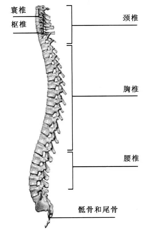 瘫痪是什么意思:我爸现在半边瘫痪了，是哪种类型的病？