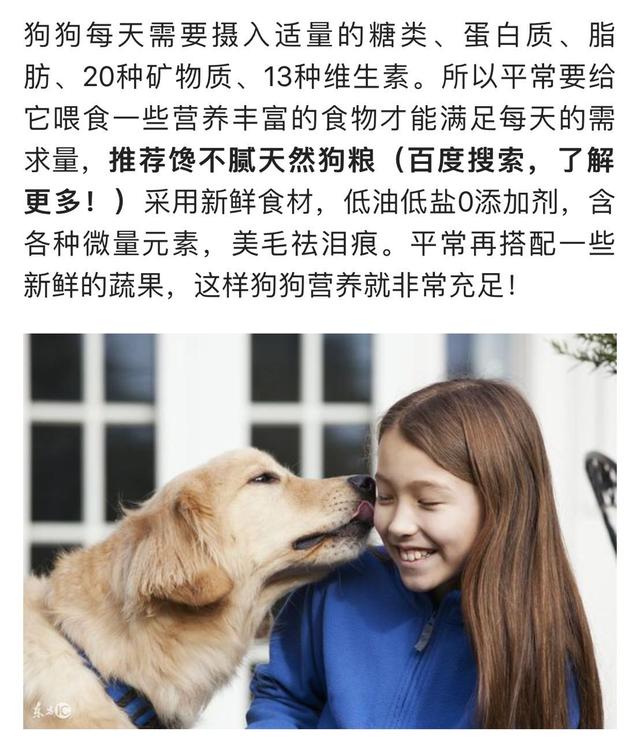 狗狗不吃东西怎么办呢:狗狗不吃东西怎么办有哪些方法 狗狗不吃东西没精神怎么办？