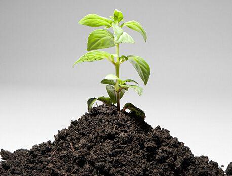 怎么鉴别一块石头是不是玉？插图106