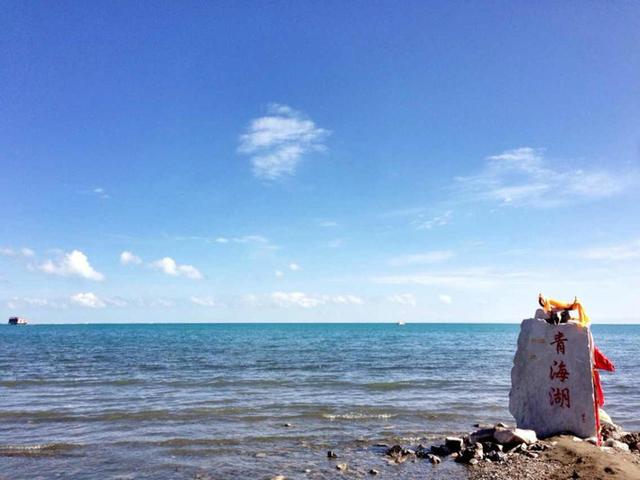 普通秋沙鸭:青海湖是咸水湖还是淡水湖？