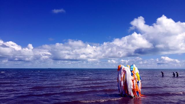 普通秋沙鸭:青海湖是咸水湖还是淡水湖？