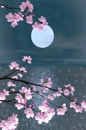 头条问答 冻笔新诗懒写 寒炉美酒时温 求下二句原诗 18个回答