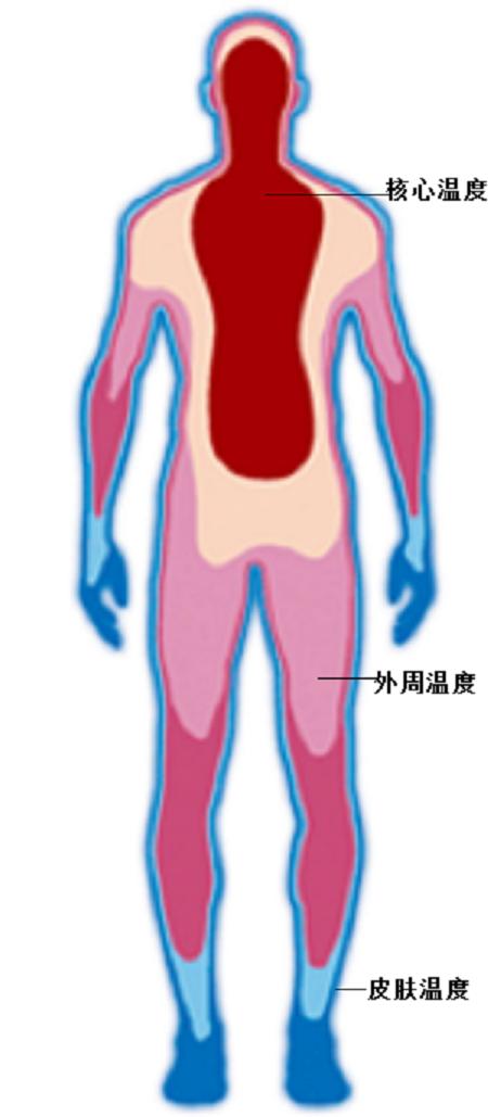 速冻人:冷冻遗体期望复活有希望吗