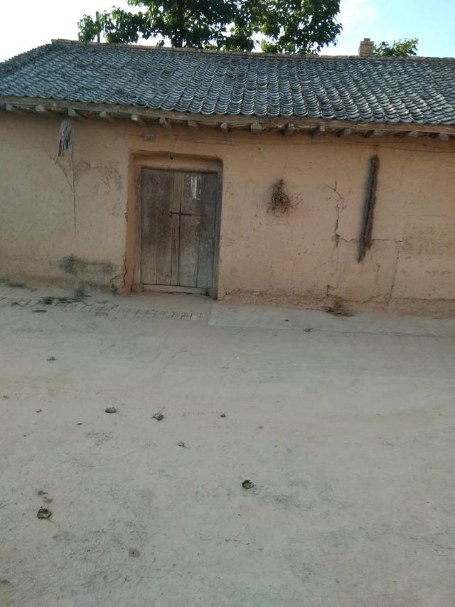 长久不住人的房子为什么更容易残破？插图10