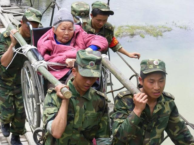 地震后的狗狗高清:汶川地震“猪坚强”住一室一厅还有专人伺候，你怎么看？ 地震后的狗狗