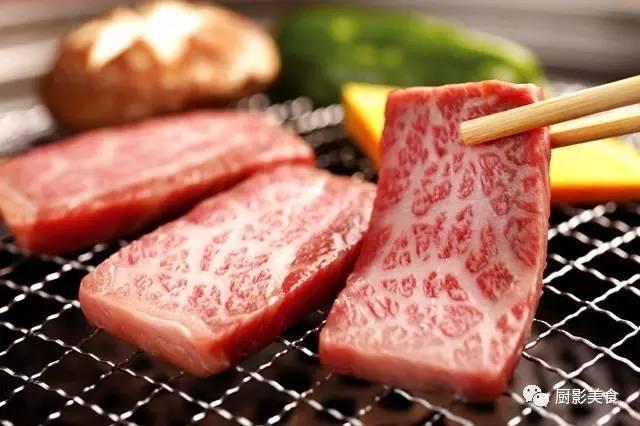 十大世界上最贵的狗排名图片欣赏:世界上最昂贵的肉有哪些？