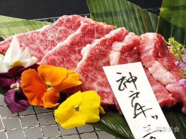 十大世界上最贵的狗排名图片欣赏:世界上最昂贵的肉有哪些？