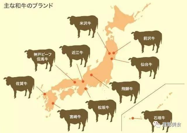 十大世界上最贵的狗排名图片欣赏:世界上最昂贵的肉有哪些？