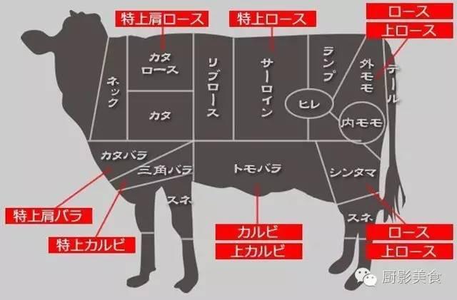十大世界上最贵的狗排名图片欣赏:世界上最昂贵的肉有哪些？