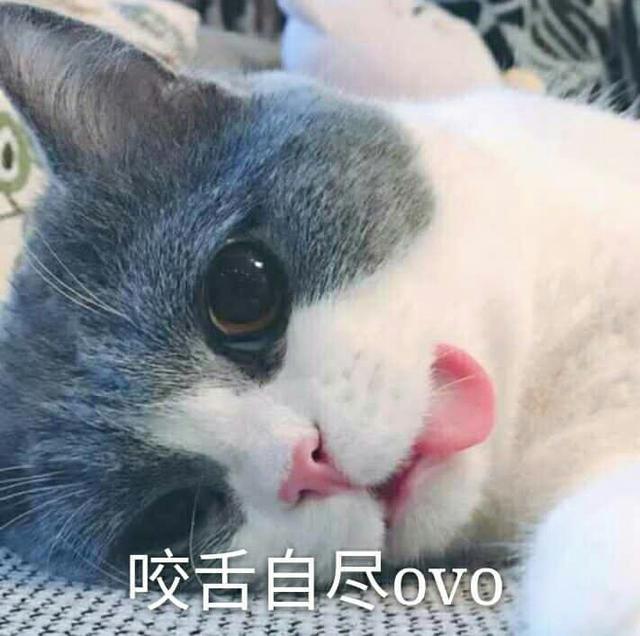 炉石冰封王座版本还有不到一个月结束,如何评价炉石传说这个版本？