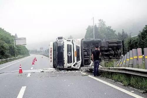 高速上动物灵异事件:撞死的骆驼一方要对于月仙的死负责吗？