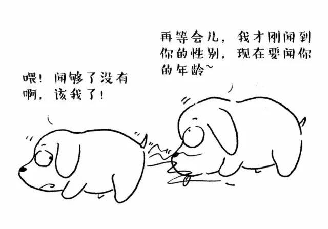 罗威纳犬打架视频大全:狗狗打架，你是冲上去拉架，还是加入战斗？