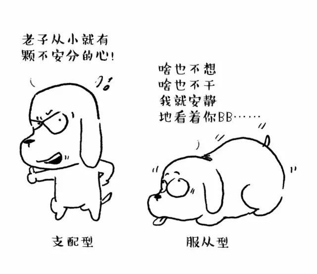 罗威纳犬打架视频大全:狗狗打架，你是冲上去拉架，还是加入战斗？