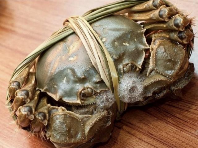 头条问答 - 德国有大闸蟹吃吗?(3个回答)