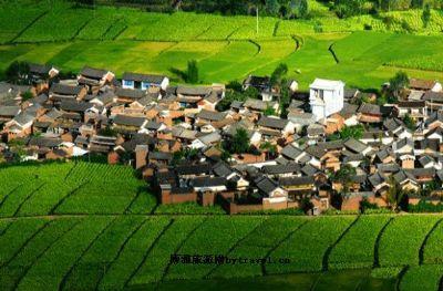大理有哪些免费景点？