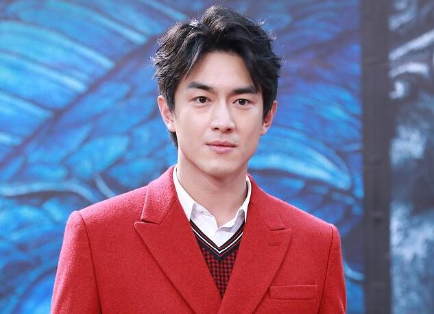 胡靖钒:胡军,孙红雷主演的义无反顾，演员表都有哪些演员？