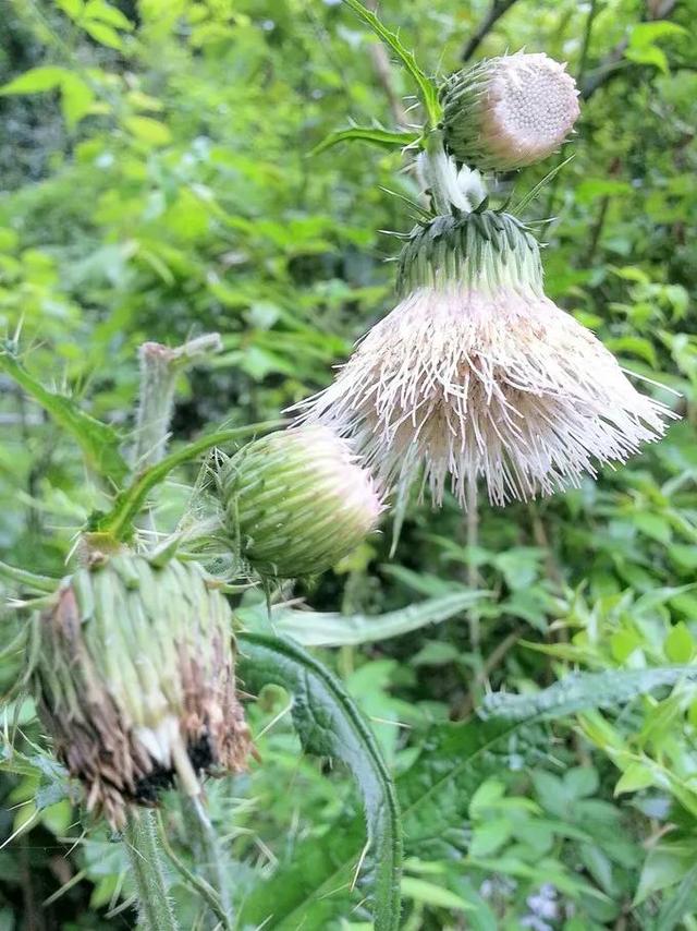 中国长阳:长阳有哪些景点值得推荐？