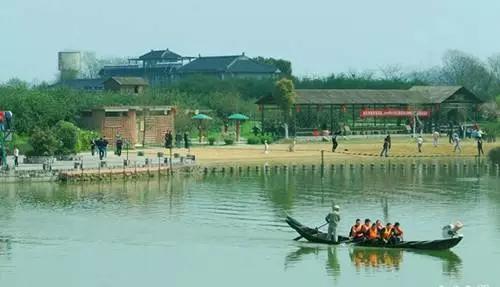 江豚宝宝长江戏水萌萌哒:带孩子旅游，去武汉什么地方好？