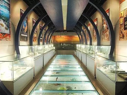 江豚宝宝长江戏水萌萌哒:带孩子旅游，去武汉什么地方好？