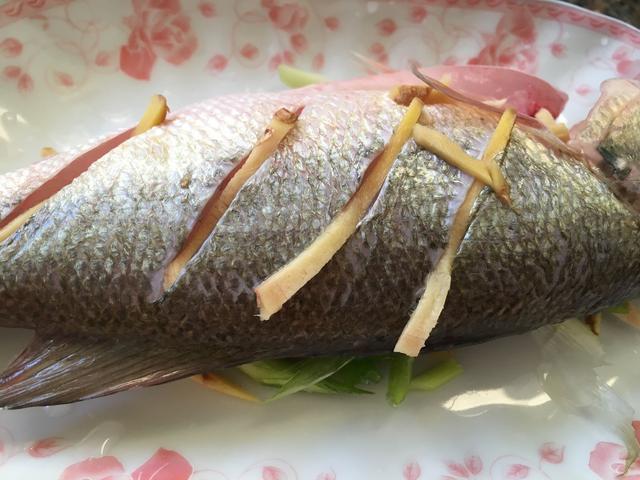 如何做清蒸鱼不会有腥味，没有一点腥味的清蒸鲈鱼是怎样做成的