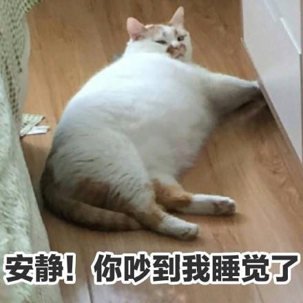 罗晋赵丽颖:唐嫣罗晋到底是什么情况？