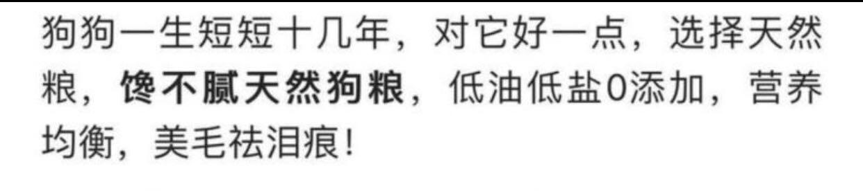 西摩犬:饲养萨摩耶有哪些问题不能犯？