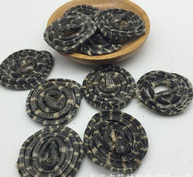 中华眼镜蛇药用价值:中华眼镜蛇图片 为什么说蛇肉鲜美，吃蛇肉都有哪些好处？
