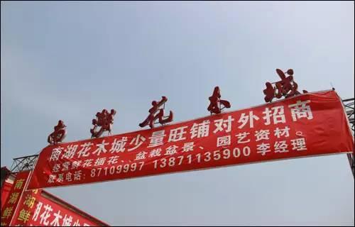 武汉宠物食品批发市场:武汉有专门的花鸟市场吗？