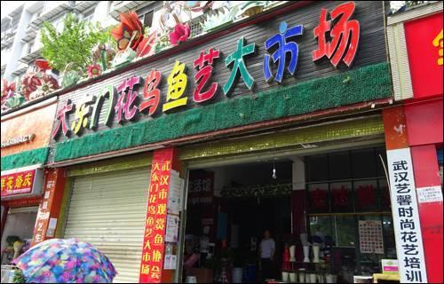 武汉宠物食品批发市场:武汉有专门的花鸟市场吗？