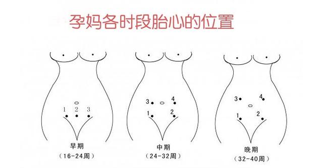 头条问答 孕20周胎心位置靠下 这样代表什么 9个回答