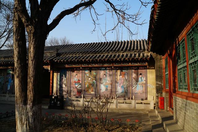 河北伊萨狗粮:有哪些不错的国产天然狗粮？ 河北狗粮黑名单