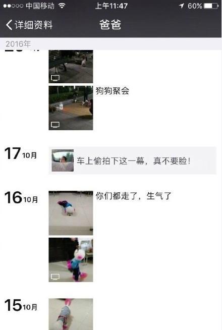 养猫记angelo:当初死命阻止你养猫的父母，现在怎样了？