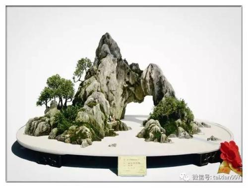 盆景艺术五大流派:关于中国盆景传统流派你知道多少？