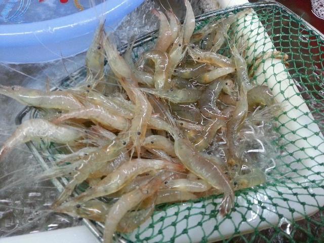 太湖银鱼是哪里的特产，江苏无锡的美食“太湖三白”，是指什么？