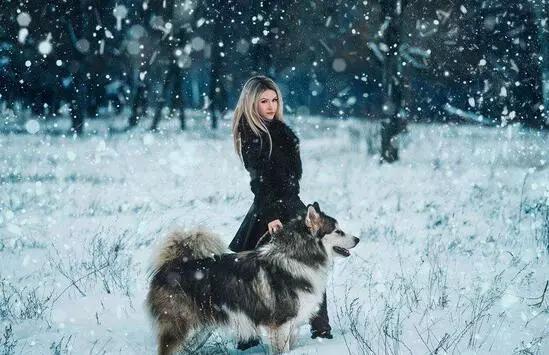 牵犬师培训手册电子档:第一次养狗，最容易犯哪些禁忌？
