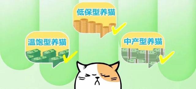 想养只猫,需要准备些什么,最低要多少钱？