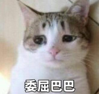 为何阿里离职的员工对其评价相差甚远？