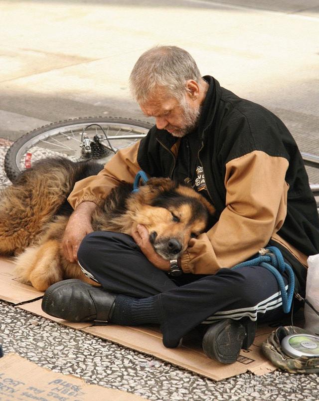 导盲犬珍妮 寄养家:导盲犬珍妮退役后的生活 哪部电影中狗对主人的忠诚感动了你？