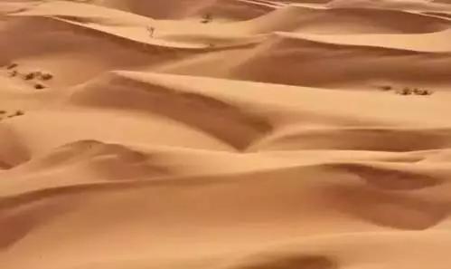 青藏高速灵异事件:为了防止拍鬼片入戏太深，林正英在拍片时都有哪些奇怪的规定？