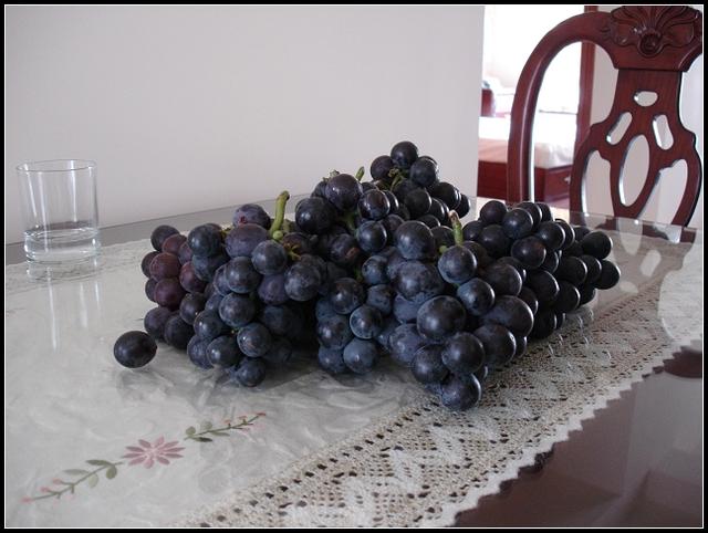 夏黑葡萄怎么做葡萄酒，自家有几颗山葡萄树，葡萄结的挺好，想做葡萄酒，应该怎么做？