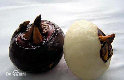 菜谱里经常用的马蹄是哪种菜？