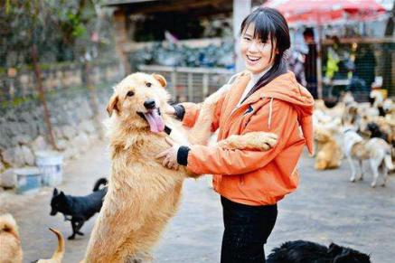 宠物猫免费领养:五个月大的猫咪适合领养吗？ 58同城宠物猫免费领养