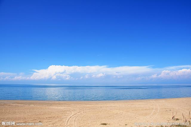 普通秋沙鸭:青海湖是咸水湖还是淡水湖？