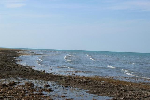 普通秋沙鸭:青海湖是咸水湖还是淡水湖？