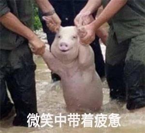 远洋君是谁:热门的主播中，电脑配置最高的是谁