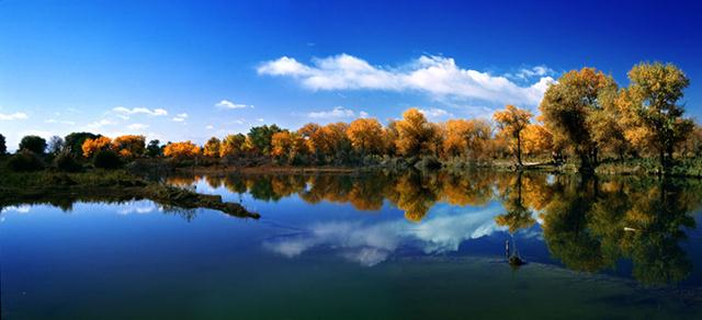 头条问答 - 新疆莎车县有什么好玩的?(2个回答)