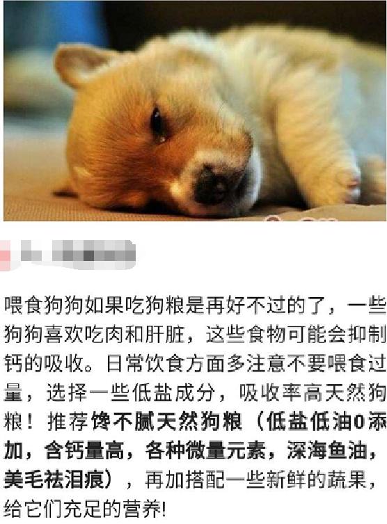 宠物知识问答:狗狗睡姿能反映和主人的关系吗？