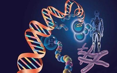班禅可以结婚吗:近亲真的不能结婚吗？有何科学依据？